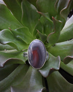 Load image into Gallery viewer, Botswana Agate- ring Size 10
