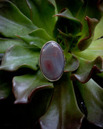Load image into Gallery viewer, Botswana Agate Ring- Size 7 1/4th
