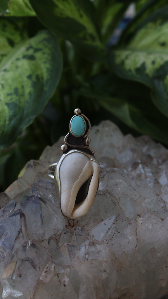 Turquoise and Seashell Ring- Size 8 1/2 - Sun Moon and Crystals