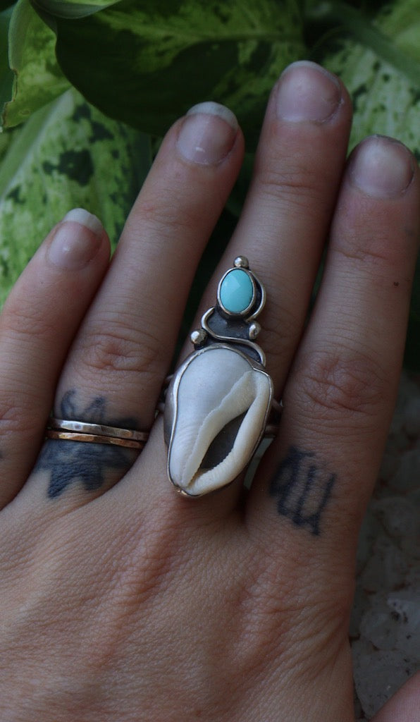 Turquoise and Seashell Ring- Size 8 1/2 - Sun Moon and Crystals