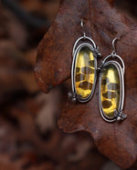 Load image into Gallery viewer, Honey Bee- amber earrings
