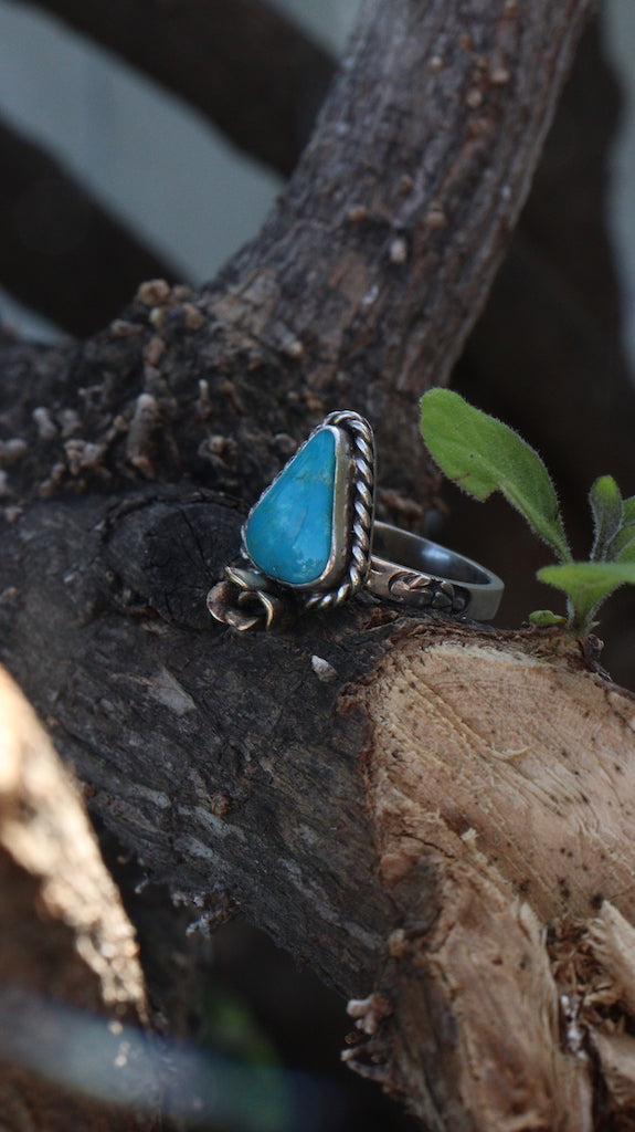 Turquoise and Succulent Rings - Sun Moon and Crystals